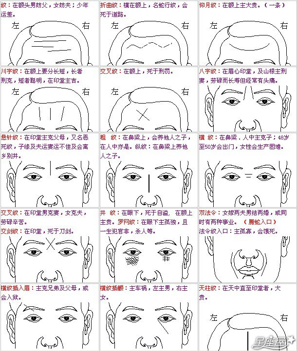 脸型算命_扫一扫测脸型算命_脸型分类图女7种脸型