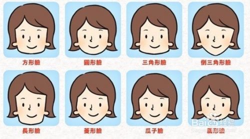 脸型分类图 各种脸型分类_八字排盘算命详解算命_脸型算命