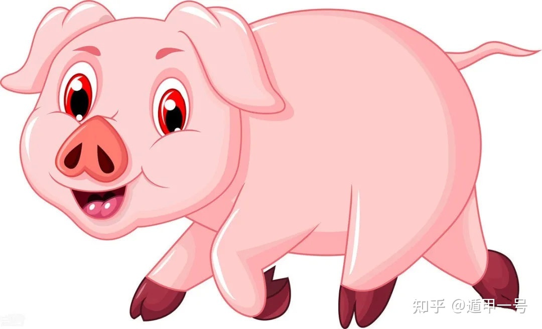 亥猪是什么意思_易经对巳亥猪年的解释_亥猪运势
