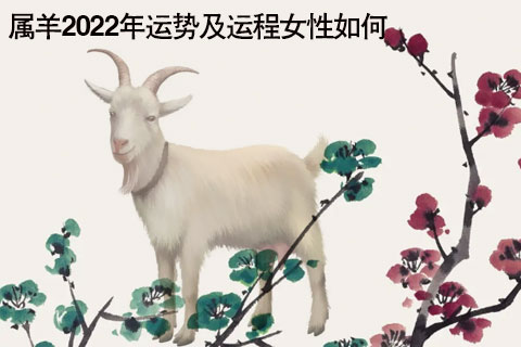 2015羊运势_2017生肖羊运势_未羊运势
