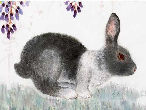 卯兔的来源_卯兔运势_十二生肖卯兔的传说故事50字