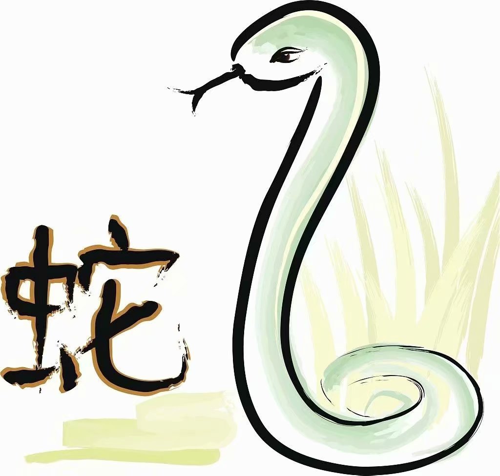 巳蛇运势_巳蛇申猴_巳蛇