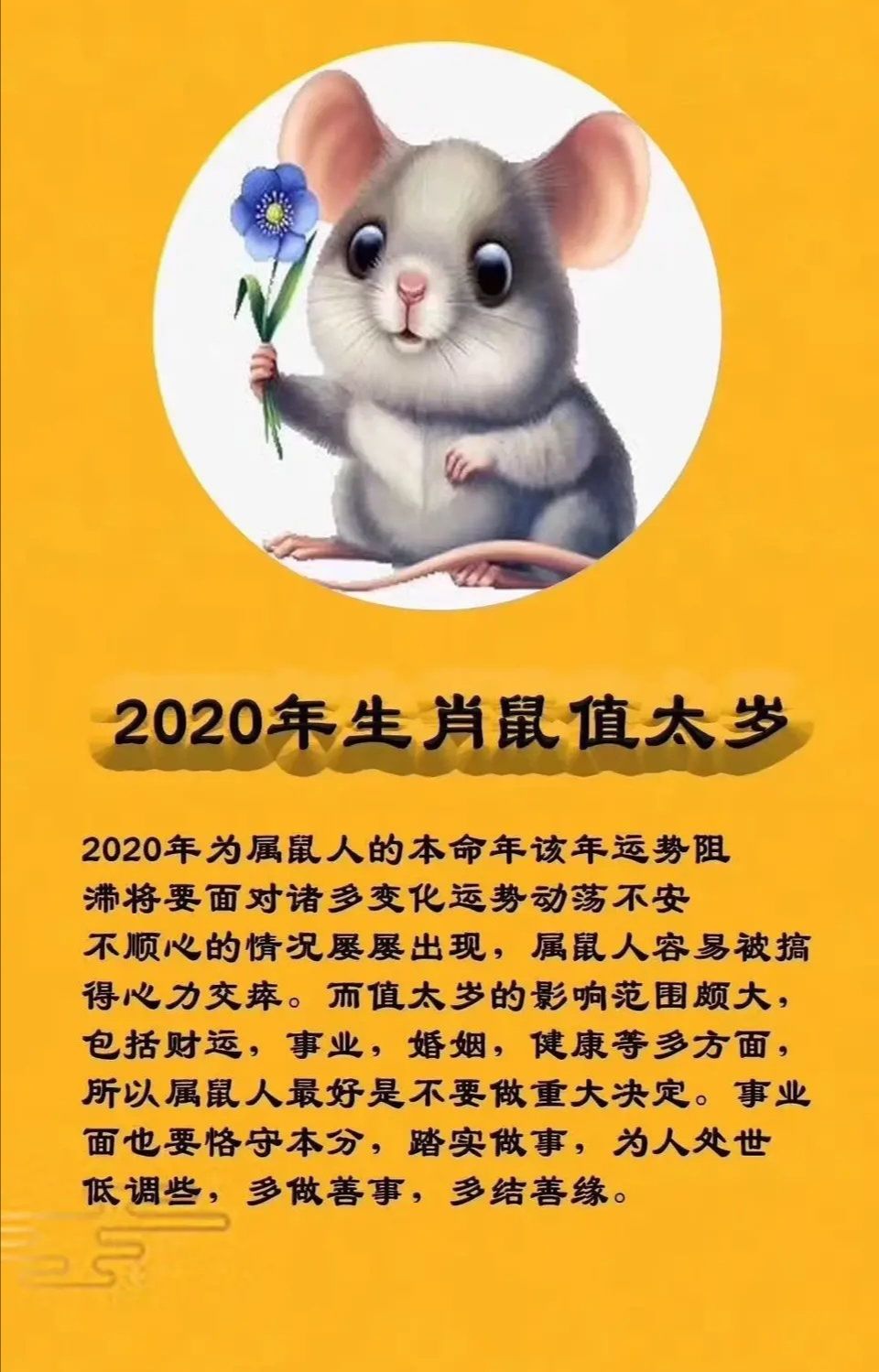 子鼠运势_造梦西游3子鼠元帅_甲子鼠2021年运势 每月