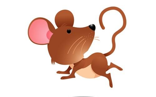 哪些牌子鼠标有驱动_子鼠来历_子鼠运势