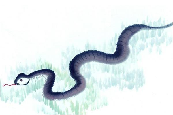 巳蛇运势(巳蛇图片)-星座123