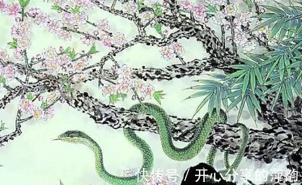 巳蛇运势(己巳蛇)-星座123