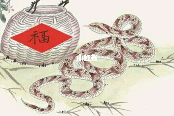 巳蛇图片_巳蛇运势_蛇巳蛇
