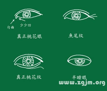 不同眼型眼线的画法_眼型算命_韩善花是什么眼型