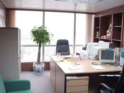 玻璃办公室的风水摆放_办公室风水_民政局办公室工作怎么样