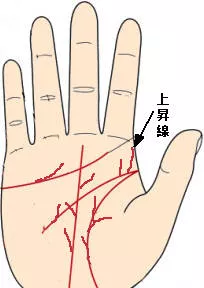 手掌中的辅助纹线——上升线