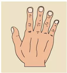 手相学教你看穿方形手掌人的性格特征