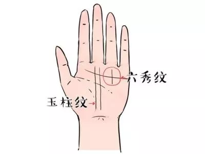 仲易说：掌中有这三种手纹的人事业有成