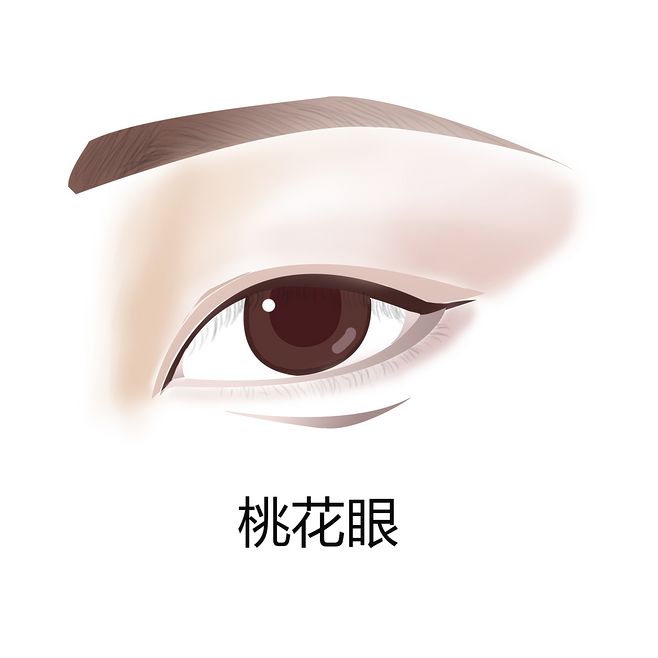 眼型算命_不同眼型眼线的画法_韩善花是什么眼型