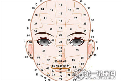 脸型分类图 各种脸型分类_张雨绮脸型叫什么脸型_脸型算命