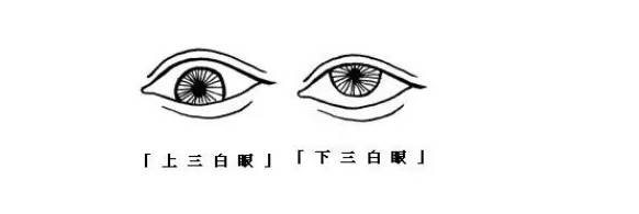勾魂眼的眼型图片_最丑的眼型是什么眼型_眼型算命