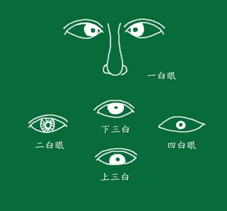 眼型算命_最丑的眼型是什么眼型_勾魂眼的眼型图片