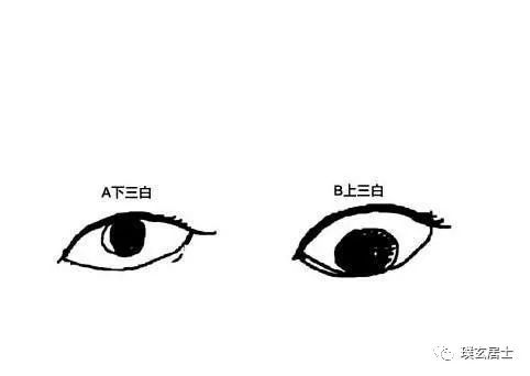 眼型算命_豆豆眼什么眼型_最丑的眼型是什么眼型