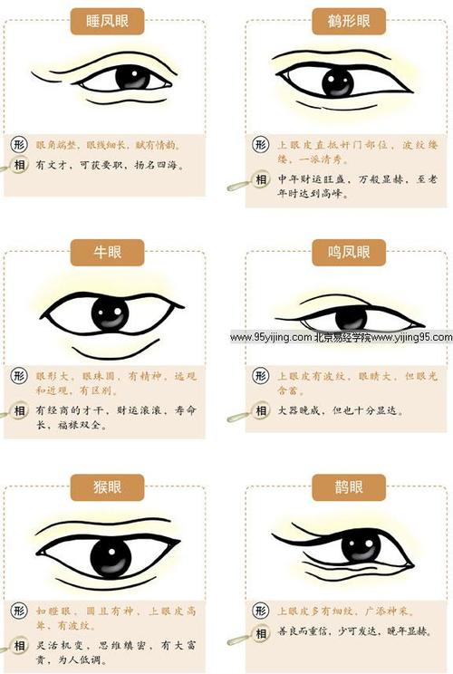 眼型算命_眼型手术_月牙眼属于什么眼型